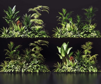 Modern Plant Pile-ID:660169137