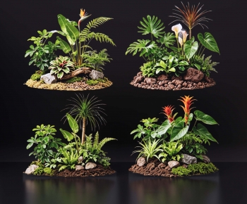 Modern Plant Pile-ID:559470895