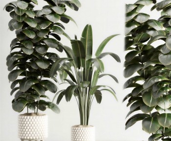 Modern Ground Green Plant Potted Plants-ID:289325007