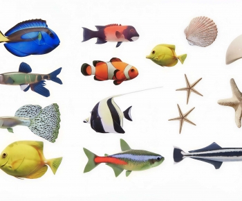 Modern Aquatic Product-ID:129403112