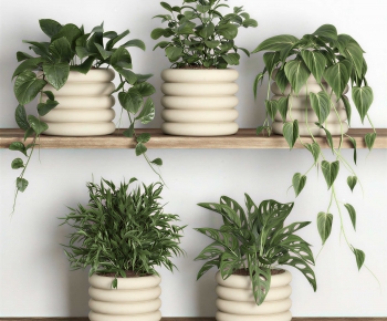 Modern Potted Green Plant-ID:459389939