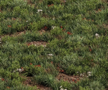 Modern Flowers And Grass-ID:439938078