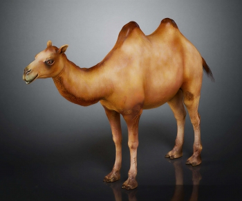 Modern Mammal-ID:656595953