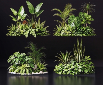Modern Plant Pile-ID:336179971