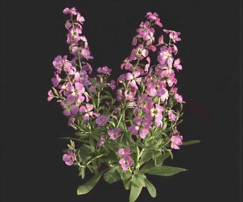 Modern Flowers And Grass-ID:952029941