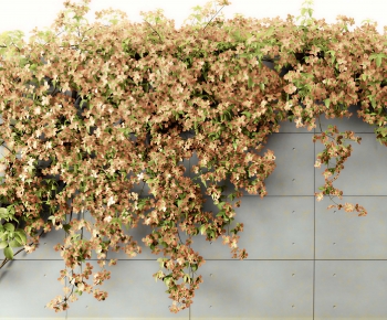 Modern Vine-ID:524523023