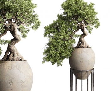 Modern Ground Green Plant Potted Plants-ID:938683993