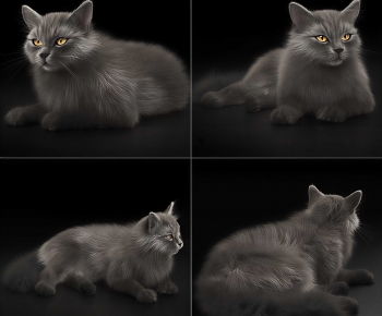 Modern Animal-ID:448940994