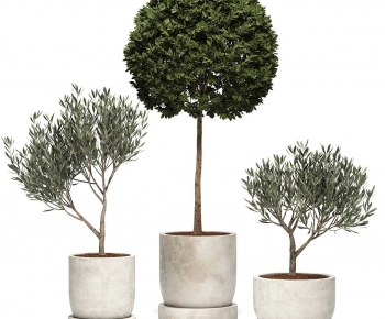 Modern Ground Green Plant Potted Plants-ID:930120949