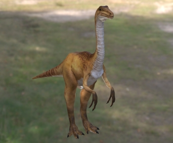 Modern Mammal-ID:481780058