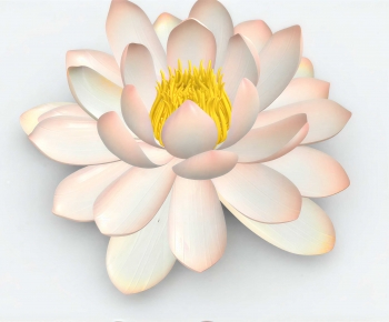 Modern Flowers And Grass-ID:138334045