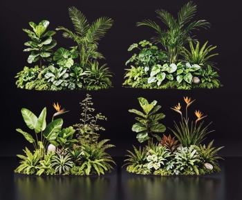 Modern Plant Pile-ID:712820055