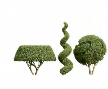 Modern Shrubbery-ID:689273122