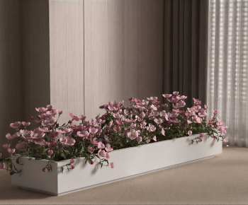 Modern Flower Bed, Flower Bowl, Flower Box-ID:309667114