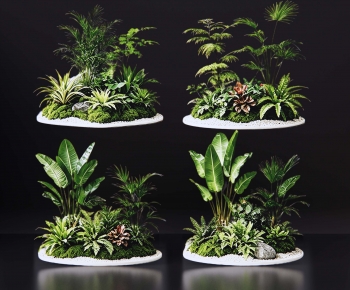 Modern Plant Pile-ID:401443968
