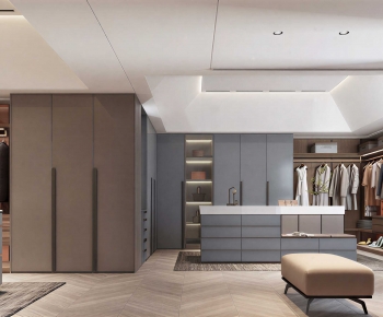 Modern Clothes Storage Area-ID:201170419