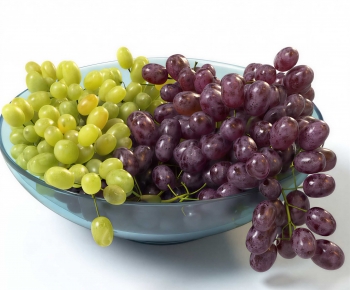 Modern Fruit-ID:236648082