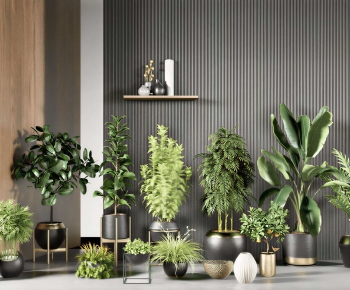 Modern Ground Green Plant Potted Plants-ID:464082968
