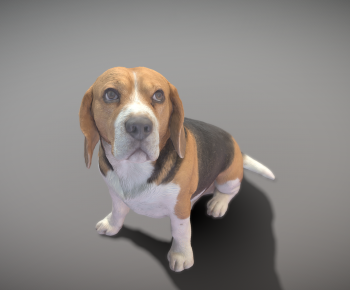 Modern Animal Dog-ID:261770014