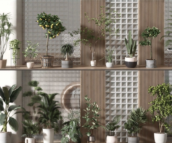 Modern Ground Green Plant Potted Plants-ID:194077972