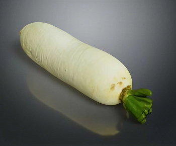 Modern Vegetables-ID:666554932