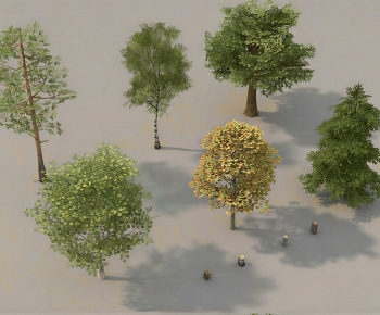 Modern Tree-ID:112776049