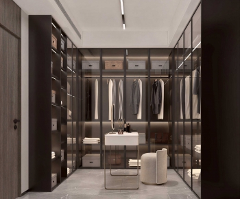 Modern Clothes Storage Area-ID:519923934