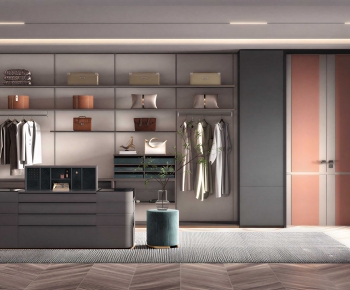 Modern Clothes Storage Area-ID:527894978