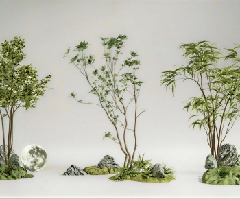 Modern Plant Landscaping-ID:644642115