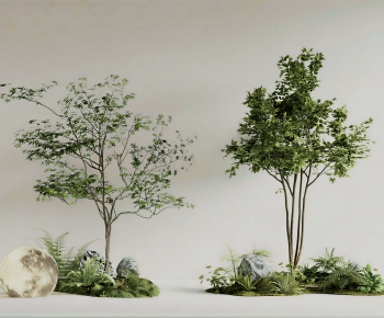 Modern Plant Landscaping-ID:988290315