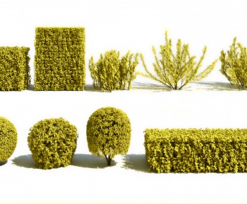 Modern Shrubbery-ID:301008948