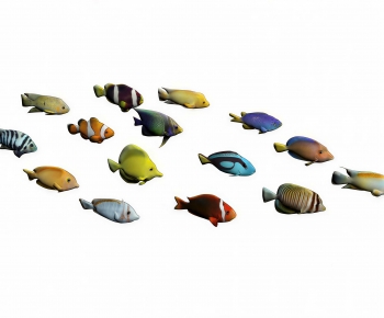 Modern Aquatic Animals-ID:314913999