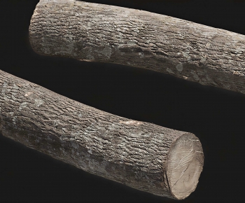 Modern Wood-ID:325241093