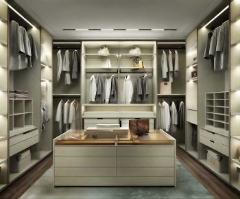 Modern Clothes Storage Area-ID:995110992