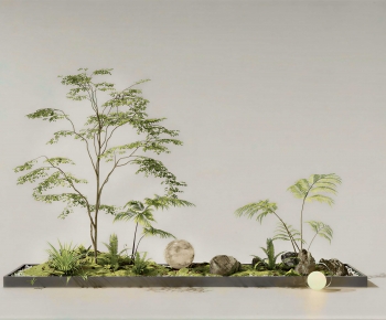 Modern Plant Landscaping-ID:998455059