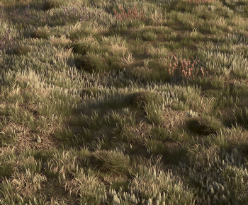 Modern Flowers And Grass-ID:500919106