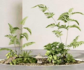 Modern Plant Landscaping-ID:751837971