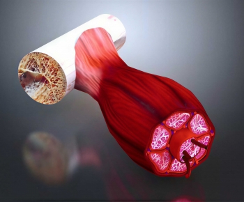 Modern Medical Equipment-ID:957684044
