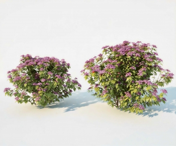 Modern Shrubbery-ID:771598109