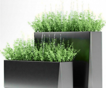 Modern Flower Bed, Flower Bowl, Flower Box-ID:143181096