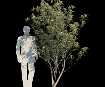 Modern Tree-ID:270163067