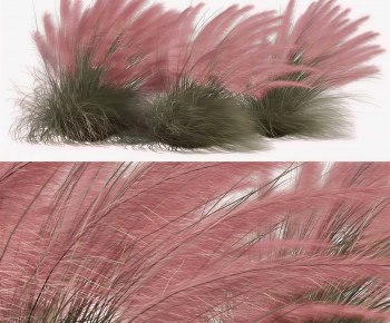 Modern The Grass-ID:684098015