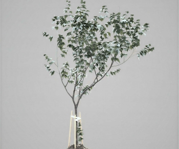 Modern Aquatic Green Plant-ID:573234089