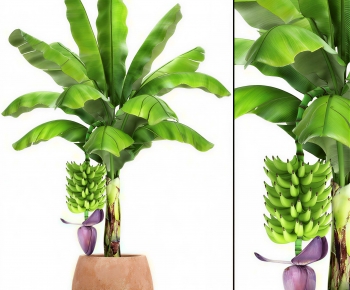 Modern Ground Green Plant Potted Plants-ID:594651943