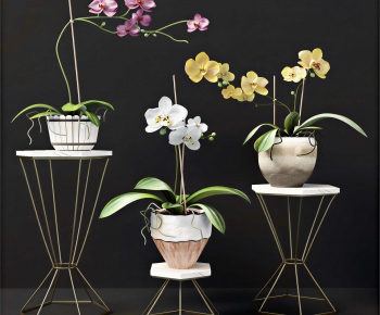 Modern Potted Green Plant-ID:901734113