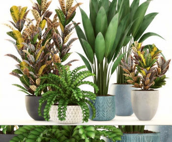 Modern Ground Green Plant Potted Plants-ID:785746109