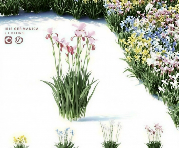 Modern Flowers And Grass-ID:652795087