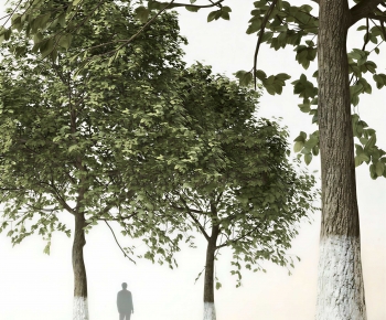 Modern Tree-ID:600796948