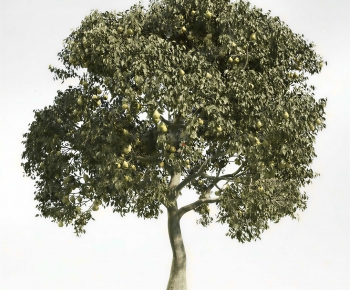 Modern Tree-ID:523096083