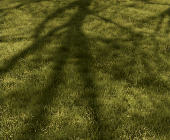 Modern The Grass-ID:936775926